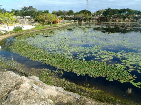 Hacienda Yaxcopoil